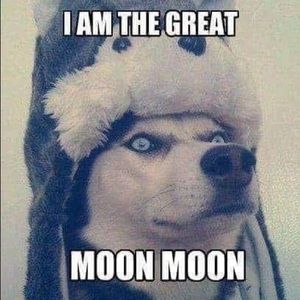 Meet your Posher, Alejandra